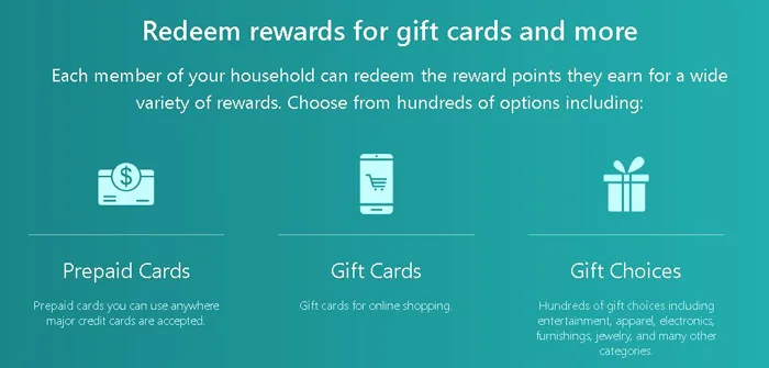 Screenwise Panel payment methods