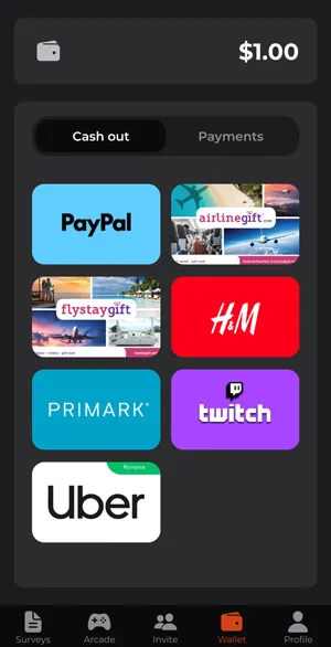 Maholla App payment methods