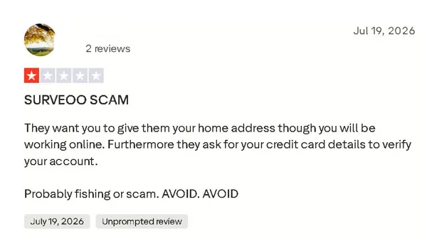 Surveoo Review: Worth It? (Full Details) Surveoo accusation on Trustpilot