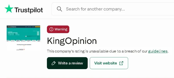 Is KingOpinion a Legitimate Website? (Full Review) KingOpinion rating on Trustpilot