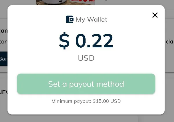 Survimo Review: Real or Fake? Survimo payment methods